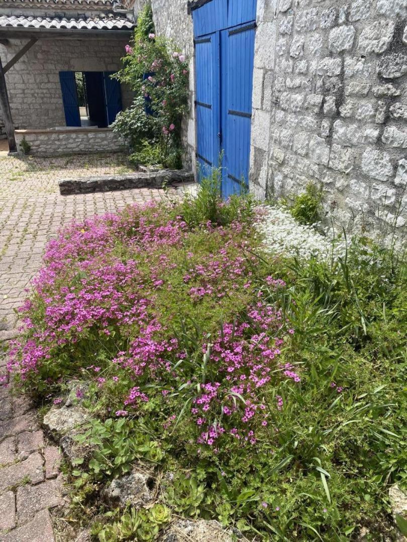 Gites De Lartigue Anthe ภายนอก รูปภาพ